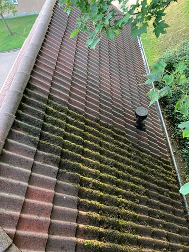 Dakreiniging en Dakonderhoud – HydroGroep